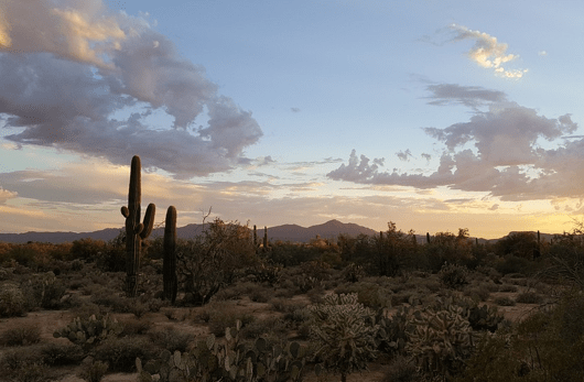 Best Mortgage Rates in Tucson