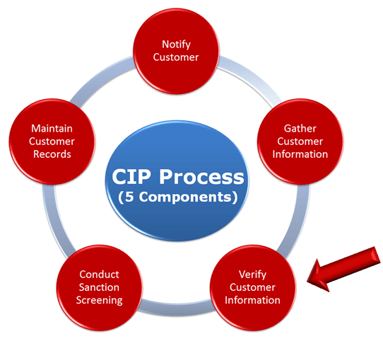 5 Component CIP Process