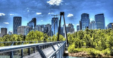 Best Calgary Financial Advisor Reviews