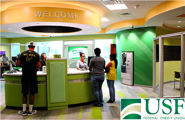 USF Federal Credit Union Reviews