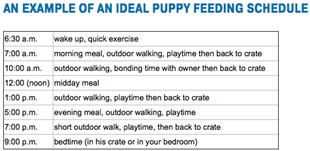 Puppy Feeding Guides