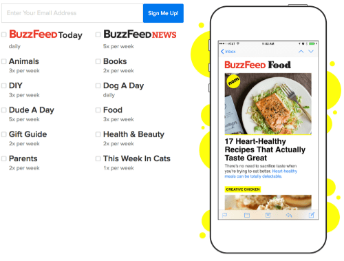 BuzzFeed - email marketing campaign