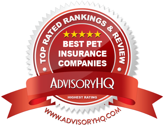 top rated pet insurance
