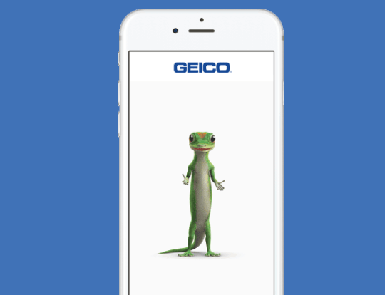 Geico young driver insurance