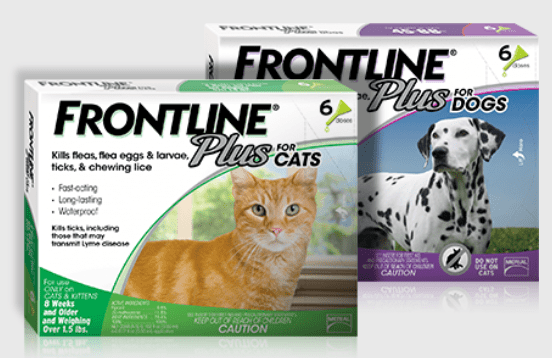 frontline gold for cats