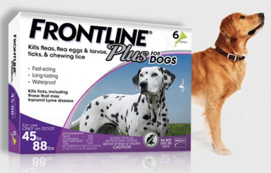 frontline spot on top for dogs